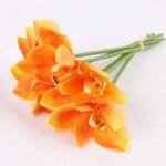 Orchidée: élégance Et Beauté Florale Pour Votre Intérieur - Orange
