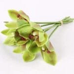 Orchidée: élégance Et Beauté Florale Pour Votre Intérieur - Vert