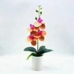 Orchidée: élégance Et Fragilité En Un Seul Produit - Orange Clair