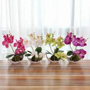 Orchidée: élégance Florale Pour Votre Intérieur