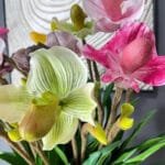 Orchidée: élégance Naturelle Pour Votre Intérieur