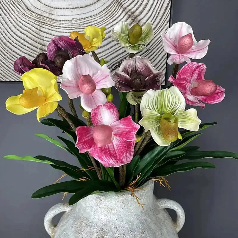 Orchidée : élégance Naturelle Pour Votre Intérieur
