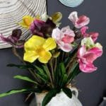 Orchidée: élégance Naturelle Pour Votre Intérieur