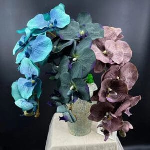 Orchidée Phalaenopsis - Fleur D’intérieur élégante Et Raffinée