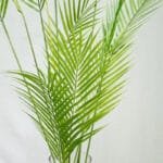Palmier Artificielle - Plante Décorative écologique Pour Intérieur
