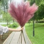 Pampa Artificielle: élégance Naturelle Pour Votre Décor - Magenta Pâle