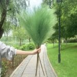 Pampa Artificielle: élégance Naturelle Pour Votre Décor - Vert