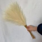 Pampa Artificielle: élégance Naturelle Pour Votre Décoration - Beige / 5