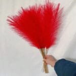 Pampa Artificielle: élégance Naturelle Pour Votre Décoration - Rouge / 5