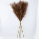 Pampa Artificielle Pour Une Décoration élégante Et Naturelle - Marron