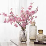 Parfum Fleurs De Cerisier - éveillez Vos Sens