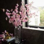 Parfum Fleurs De Cerisier - éveillez Vos Sens