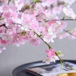 Parfum Fleurs De Cerisier - éveillez Vos Sens