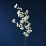 Parfum Fleurs De Cerisier - éveillez Vos Sens - Blanc