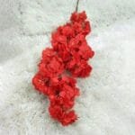 Parfum Fleurs De Cerisier - éveillez Vos Sens - Rouge