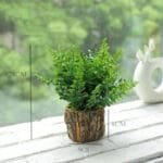 Petite Fausse Plante Décorative Pour Intérieur