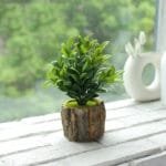 Petite Fausse Plante Décorative Pour Intérieur - b