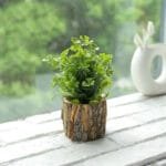 Petite Fausse Plante Décorative Pour Intérieur - d