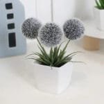 Petite Plante En Pot - Idéal Pour Vos Petites Fleurs Artificielles