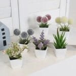 Petite Plante En Pot - Idéal Pour Vos Petites Fleurs Artificielles