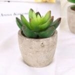 Petite Plante Grasse Artificielle En Pot Pour Décoration Intérieure