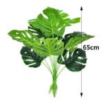 Philodendron: Plante D’intérieur élégante Et Facile D’entretien