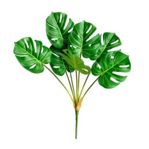 Philodendron: Plante D’intérieur élégante Et Facile D’entretien - 60cm