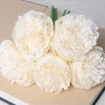 Pivoine Artificielle: élégance Et Charme Des Fausses Pivoines - Blanc