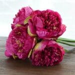 Pivoine Artificielle: élégance Et Charme Des Fausses Pivoines - Fuchsia