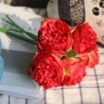 Pivoine Artificielle: élégance Et Charme Des Fausses Pivoines - Rouge