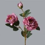Pivoine Artificielle - Fleur éternelle Pour Décor élégant - Mauve