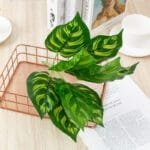 Plante Artificielle écologique Pour Décoration Intérieure - b