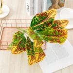 Plante Artificielle écologique Pour Décoration Intérieure - f