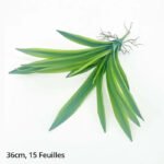 Plante D’intérieur Dracaena élégante Et Facile D’entretien - 36cm - 15 Feuilles