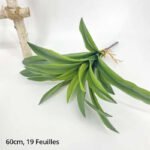 Plante D’intérieur Dracaena élégante Et Facile D’entretien - 60cm - 19 Feuilles