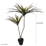 Plante D’intérieur Dracaena Marginata - élégance Et Facilité D’entretien - 2 Branches / Feuilles Vertes Et Rouges