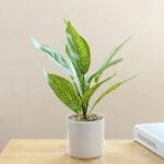 Plante Fausse En Pot Pour Une Décoration Intérieure élégante - e