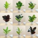 Plante Fausse En Pot Pour Une Décoration Intérieure élégante