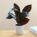 Plante Fausse En Pot Pour Une Décoration Intérieure élégante - g
