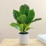 Plante Fausse En Pot Pour Une Décoration Intérieure élégante - i