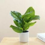 Plante Fausse En Pot Pour Une Décoration Intérieure élégante - j