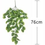 Plante Murale Tombante Pour Un Décor Naturel Et élégant