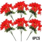 Poinsettia: Plante Festive Et Décorative Pour Votre Intérieur - Rouge
