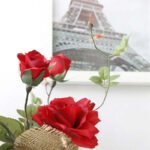 Rose élégante Pour Embellir Votre Espace