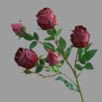 Rose élégante Pour Tous Les Occasions - Rouge Foncé