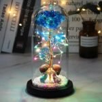 Rose éternelle Galaxie : Fleur Intemporelle Pour Un Cadeau Unique