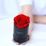 Rose éternelle : La Beauté éternelle à Votre Portée