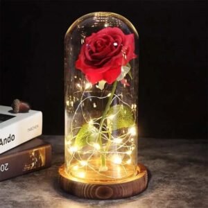 Rose éternelle Sous Cloche