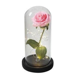 Rose éternelle : Une Fleur à La Beauté Intemporelle