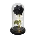 Rose éternelle : Une Fleur à La Beauté Intemporelle